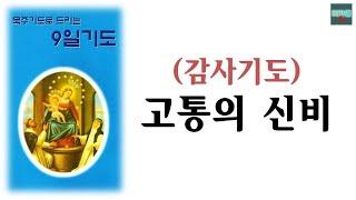 구일기도(감사) 고통의 신비