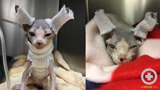 Technician Hacks: Ways to Use Stockinette