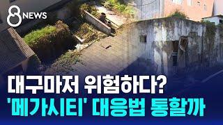 대구마저 위험하다?…'메가시티' 대응법 통할까 / SBS 8뉴스