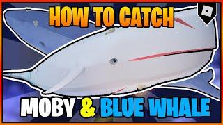 (FULL GUIDE) How to catch the SECRET MOBY and BLUE WHALE in Fisch