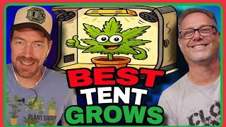 Cannabis Grow Tent Tips Only Master Growers Know