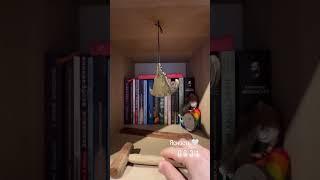 Кое-что станет очевидным сегодня 