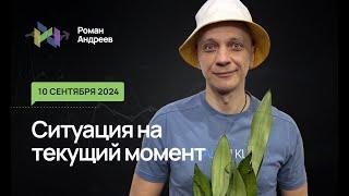 10.09.2024 Ситуация | Роман Андреев