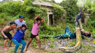 SHOCKING! Giant Anaconda Ambushes Workers from the Bushes | Miraculous Escape During Cleanup