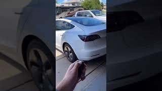 I Found a *SECRET* Tesla Easter Egg  #shorts #tesla #model3 #teslaflex