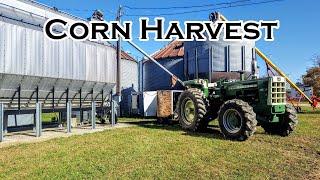 Corn Harvest Begins