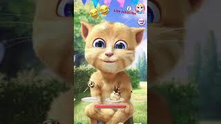 #catfun #short #subscribenow#shorts #talkingtom #funnyshorts #funny 