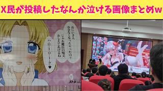 【爆笑】X民が投稿したなんか泣ける画像達をまとめたら神回確定の爆笑動画になったからみんな見てくれよな！！