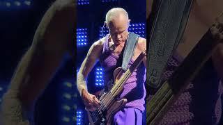 @RedHotChiliPeppers @FleabassMusic  Aquatic Mouth Dance Live at Santiago 19-11-2023