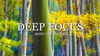 Deep Focus Music To Improve Concentration - 12 Hours of Ambient Study Music to Concentrate #576