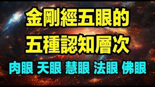 《金剛經》的五眼：從肉眼、天眼、慧眼、法眼到佛眼的五種認知層次，探索認知能力的升維階梯與人生五大境界的相互關聯