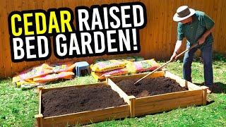 Cedar Raised Bed Garden Review