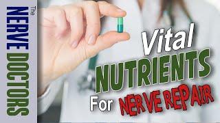 Vital Nutrients for Nerve Repair  & Neuropathy Treatment - The Nerve Doctors