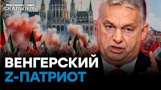 В Орбане проснулась АДЕКВАТНОСТЬ? Венгрия попалась... | Скальпель