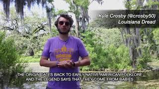 Legend of the LETICHE - Alligator Monster in the swamps of Louisiana