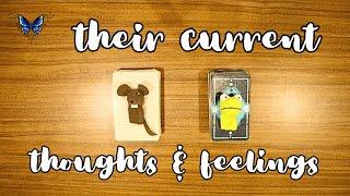 ️‍️‍🩹 WHAT ARE THEIR CURRENT THOUGHTS AND FEELINGS?  Timeless Tarot Reading 