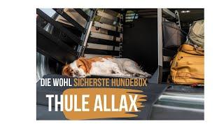 THULE Allax Hundebox die wohl sicherste Hundebox für den Kofferraum