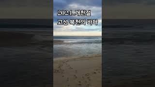 연어시즌. 개천절 고성북천 상황 #투망. #바다투망 한국투망협회 배종환 특파원