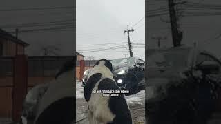 Inst: Alex.grabsky9 #юмор #youtubeshorts #shorts