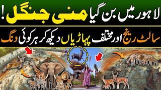 Safari Park Lahore | Exploring The Live Zoo of Pakistan | Discover Pakistan