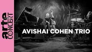 Avishai Cohen Trio - Festival de jazz de Leverkusen 2024 - ARTE Concert