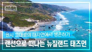 [랜선 여행️] 여덟 번째 여행지 뉴질랜드 태즈먼 [정글의 법칙|SBS 방송]