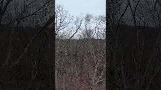 More drone footage