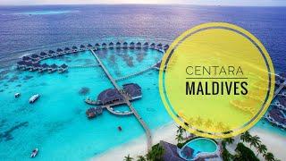 Новая квартира или месяц в раю?! Centara Grand Island Maldives (Сентара гранд мальдивы) 2019