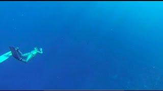 Freediving Sharm El Arab 2014