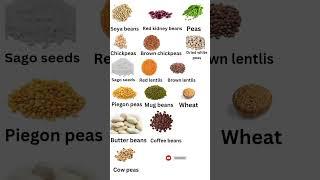 #Grains vocabulary|grains name in English with picture #shorts