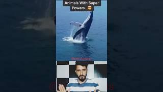 Animals with super power : it's possible (in hindi) #shorts