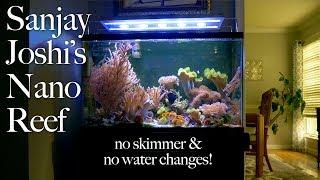 Sanjay Joshi's Nano Reef Tank is 23 YRS OLD, No Skimmer, No Water Changes!