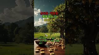 금전운·직장운 폭등하는 띠 완전 공개!#6월운세 #직장운폭등 #금전운상승 #띠별운세  #재물운강한띠 #행운의띠 #이직운 #스카웃운세 #운세추천 #내띠맞을까 #댓글로운세 #좋아요필수