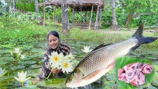 মাঠ থেকে শাপলা তুলে মাছের তেল দিয়ে রান্না করলাম সাথে রুই মাছের ঝালদা || fish curry recipe