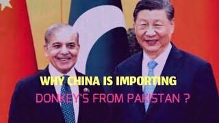 Demands of china for donkeys but why ? |Shahid Amin |