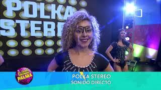 POLKA STEREO | EN VIVO | EL GRAN SHOW DE PALMA | 16-01-2021