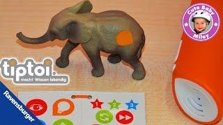 Tiptoi Tiere Ravensburger - kleiner Elefant Baby