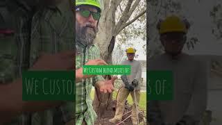 Ask An Arborist: Can Deep Root Injections save my tree?