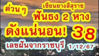 ด่วน คัด เน้นๆ 2 หาง ดังแน่นอน เซียนยางสีสุราช / เลขฝันจากราชบุรี 1/12/67