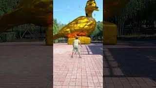 Playing football to unlock the golden statue of the big duck in the park