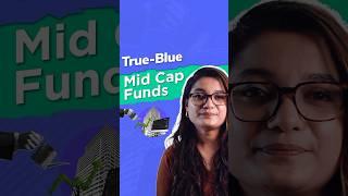 5 Mid Cap Mutual Funds With More Mid Cap Stocks