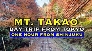 Autumn in Mt. Takao | Most Popular Day Trip From Tokyo | One Hour From Shinjuku | Tokyo, Japan