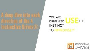 A deep dive into each direction of the 4 Instinctive Drives® – Use Improvise