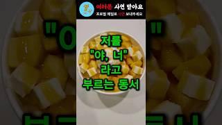 저를 "야,너"라고 부르는 동서