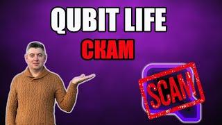 QubitLife Новости | Вывод закрыли | Мои Мысли | Scam Кубика ? | QubitTech Скам