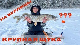 ЧТО ЗА МОНСТР?ЩУКА НА ЖЕРЛИЦЫ/ЛОВЛЯ ЩУКИ ПО ПЕРВОМУ ЛЬДУ