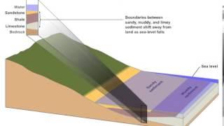 Changing Shoreline and Sedimentation