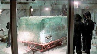 A Giant 40.000 Years Old Ice Coffin Found in the Arctic. The Creatures Inside Are Still Alive!