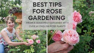 Best Tips for Rose Gardening | English Rose Garden with over 60 Plants