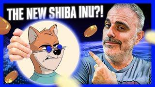 You Could Be Missing Out on The NEXT SHIBA INU - LC Shib!